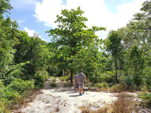 Terreno En Boulevard La Ceiba, Lázaro Cárdenas