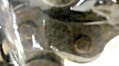 Tsubaki Cr10020h Roller Chain Coupling Kit Cr10020-j Hub Ccb