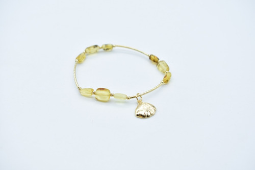 Pulsera Semanario Con Ámbar En Forma De Semilla Dif. Dijes Diámetro 9 Largo 18