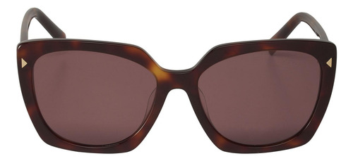 Prada Spr 23zs 4bw-08s Square Shape Havana Pink Violet (Usado)