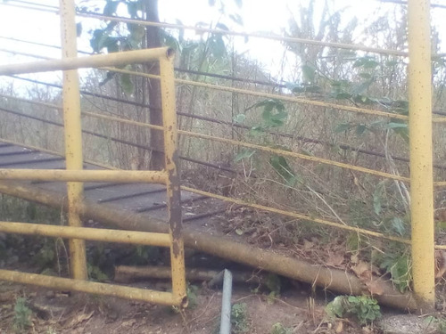 Imagen 9 de 9 de Vendo Finca Productiva En Pariaguan Edo. Anzoategui - Venezuela