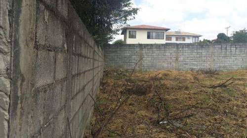 Imagem 5 de 11 de Terreno Em Belo Horizonte - Mg - Te0064_realle