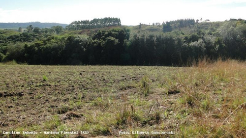 Área Rural Para Venda Em Mariana Pimentel, Boqueirão - 1153_1-779115