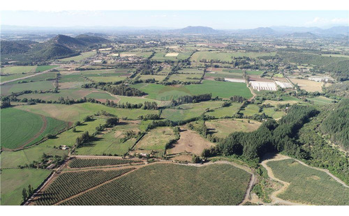 Fundo El Paso. Gran Suelo Agrícola De 128 Ha.