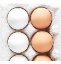 Comprar Huevo Blanco Por Mayor N1 Pallet 25 Cajones -precio X Maple