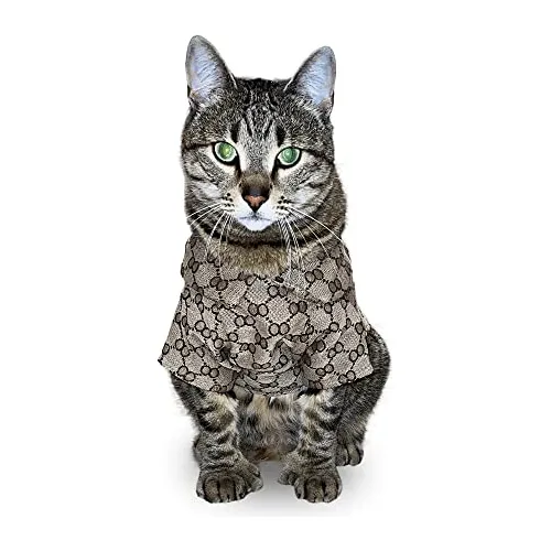 Ropa para gatos mercadolibre hotsell