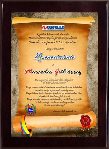 Imagen 6 de 10 de Placas De Reconocimiento En Sublimación