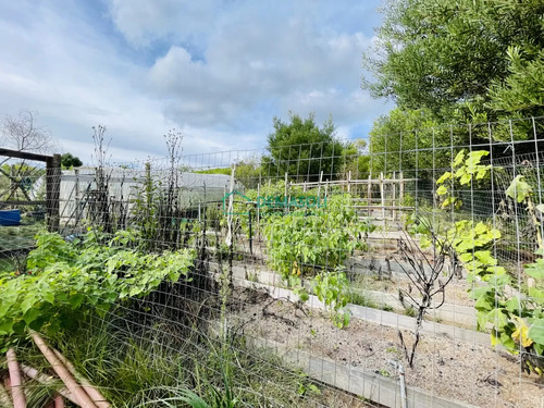Maravillosa Chacra En Venta De 5 Hectareas En Zona Las Cañas, Maldonado