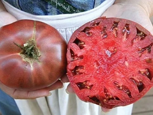Semillas De Tomate Gigante Cherokee Americano. 