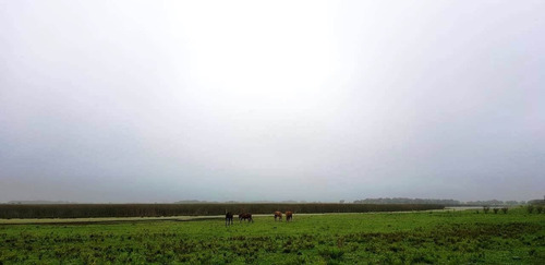 Imagen 15 de 21 de Campo En General Madariaga-