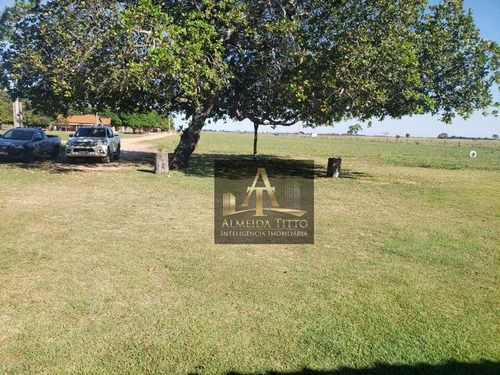 Imagem 11 de 19 de Excelente Fazenda Para Venda Em Barra Do Garças - Mt - Confira!!!! - Fa0050