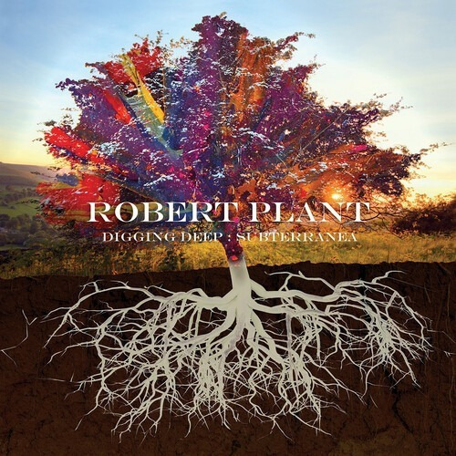 Robert Plant Digging Deep Subterranea 2 Cd Nuevo Import 2020