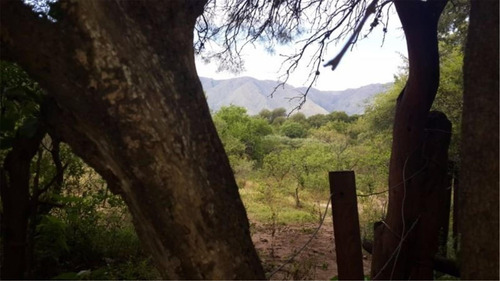 Imagen 16 de 18 de Hectarea En Bosque Serrano Magico...viva Una Aventura!