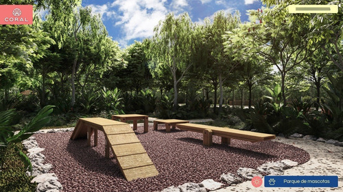 Imagen 20 de 26 de Lote En Venta En Cancún Con Financiamiento Y Rodeado De Naturaleza Perfecto Para Renta Vacacional