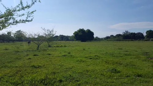 Lote En Venta En Vereda Rio Claro - Potrerito. Cod V7573
