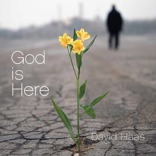 David Haas: Dios Está Aquí (cd)