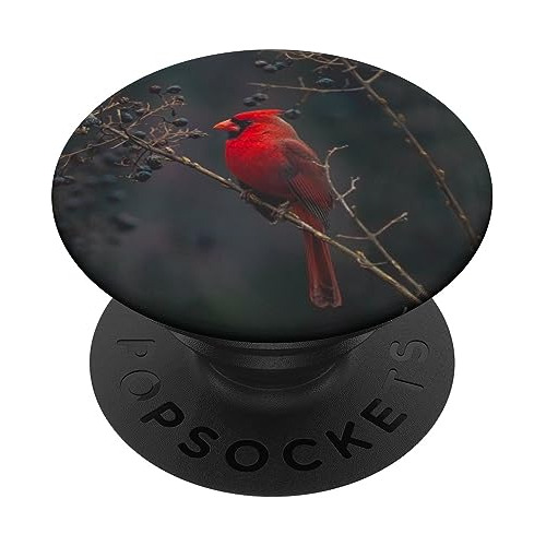 Popsockets Standard Popgrip Para Todos Los Rojos Cardinal Bi