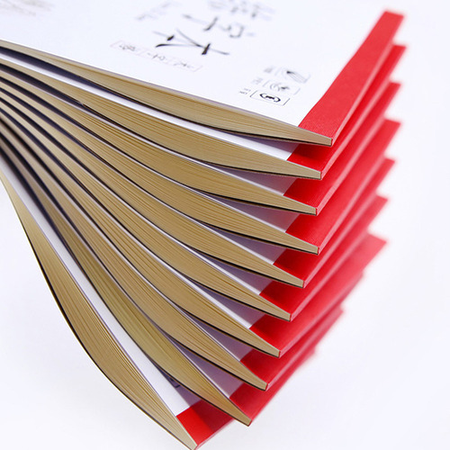 Cuaderno De Práctica De Escritura China, 4 Unidades