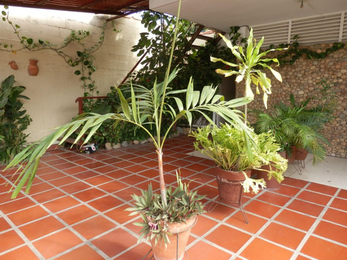 Raiza Suárez Alquila Local Comercial Ubicado En Zona Privilegiada Del Este 2 5 1 1 5 1 4 Con 300 M2 Con Gran Potencial Comercial Y Fácil Acceso Al Transporte Público, Comercios, Colegios, C. Comercial