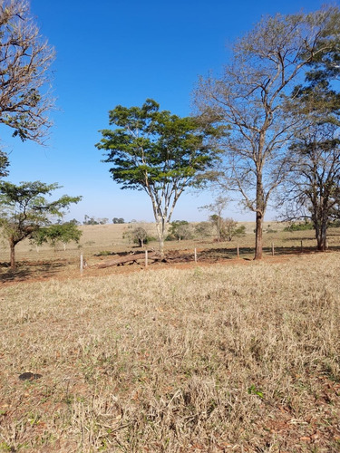 Imagem 9 de 11 de Fazenda Para Pecuária Venda Em Paranaiba-ms, Com 268 Hectares, Beira Rio Paranaiba, Casa E Varias Benfeitorias, Plana, Terra Mista Avermelhada - Fa00397 - 70075757