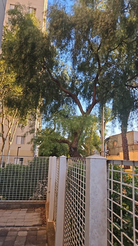 Apto 3 Dorm X Suite E Garden Oportunidade