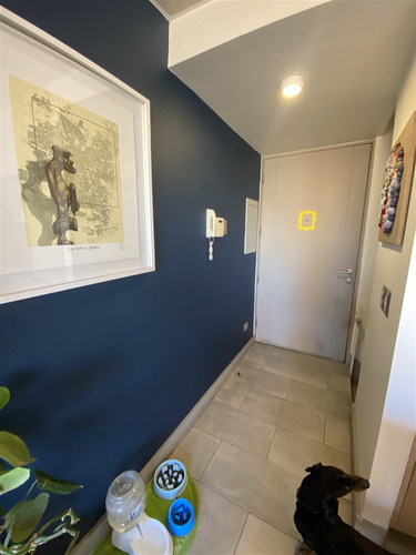 Triplex En Arriendo 1d,2b,1est,1bd,terraza. En Providencia