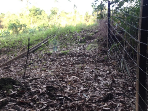 Imagem 11 de 14 de Terreno Para Chácara À Venda Em Canelinha/sc - 1669c