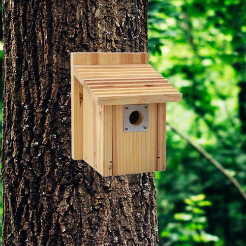 Caja De Anidación De Pájaros De La Casa De Pájaros Fuera