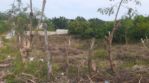 Terreno En  Venta A Pasos De La Avenida Ecologica