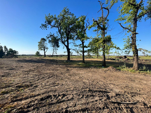 Vende 241 Hás En Parral - Región Del Maule