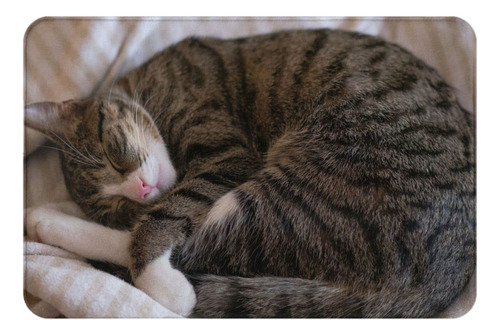 Alfombra Baño Diseño Gato Durmiendo Manta Felpudo Para Hogar