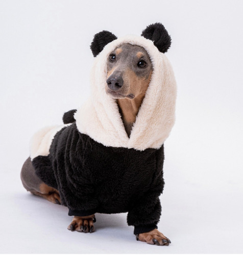 Chaleco Buzo Panda M Ropa Perros Cachorros Mascotas 40% Off!