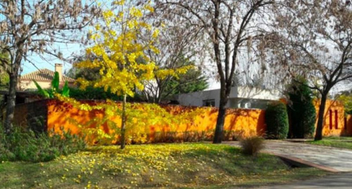 Venta - Casa Con Gran Arboleda En Sausalito - Bayugar Negocios Inmobiliarios