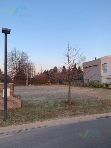 Imagen 2 de 23 de Terreno - Ayres Plaza