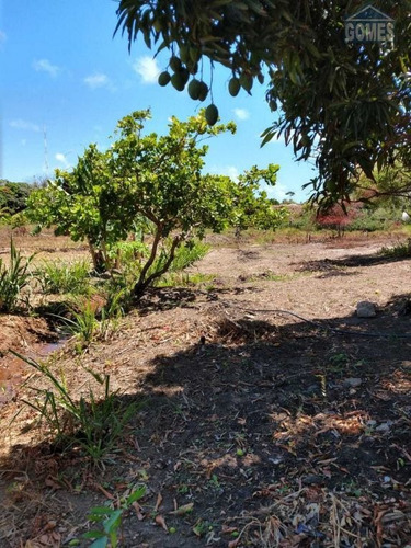 Imagem 10 de 19 de Vende Um Terreno Com Uma Construção Em Andamento Proximo A Praia - 24761
