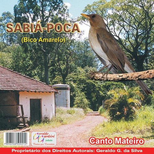 Cd Canto De Pássaros Sabiá Poca Bico Amarelo Canto Mateiro