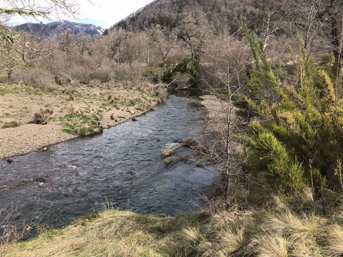 Terreno 5.000 M2 Orilla De Río Caracoles, Malalcahuello