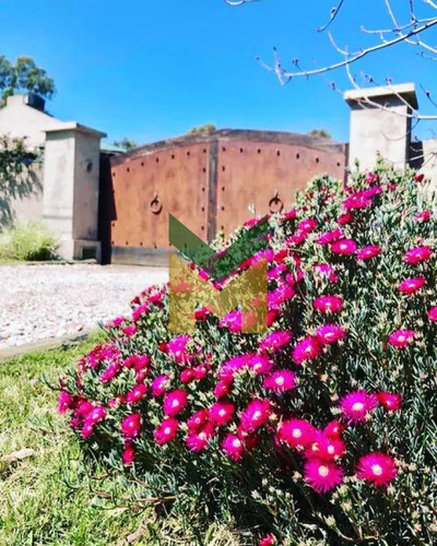 Casa En Alquiler De Temporada , La Barra , Punta Del Este 