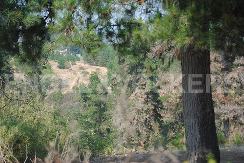 Terreno En Algarrobo
