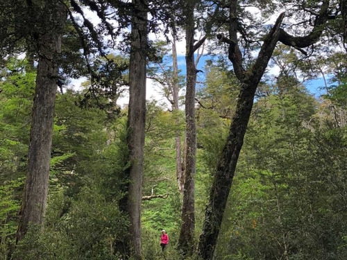 1 Há, En Carretera Austral (92494)