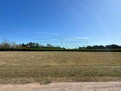 Imagen 5 de 21 de Terreno De 3600m2 En Venta En La Ranita Club De Campo
