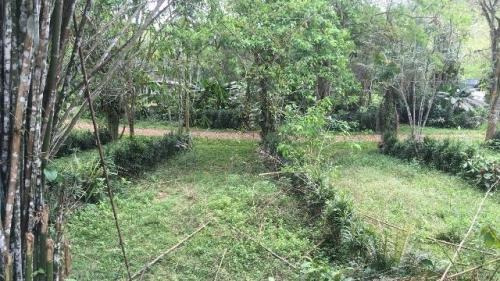Sítio À Venda No Parque Serra Do Mar - Itariri 6060 | A.c.m