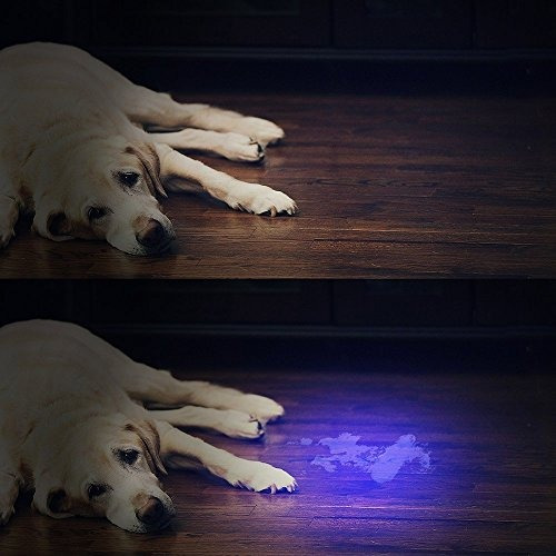 Imagen 4 de 6 de Linterna Uv Luces Uv De Luz Negra, Vansky 51 Led Ultraviolet