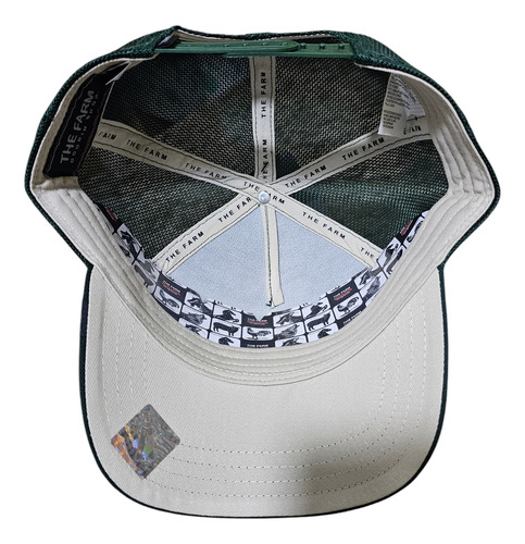 Gorra Goorin Bros Elefante Extra Large Original Snapback