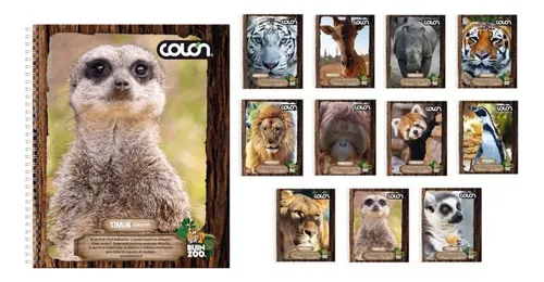 Cuaderno Universitario Buin Zoo 100h 7mm Pack 10 Uni. Colon
