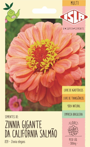 Semente De Zinnia Dobrada Dahliaflora Salmão Flor | MercadoLivre