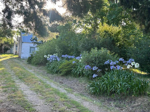 Se Vende Chacra De 3 Ha 7761m2 A 4,5 Km Del Parque Rodó, San José De Mayo