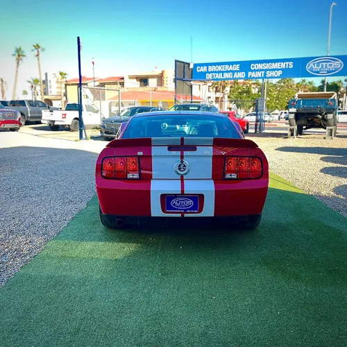 Ford Mustang Shelby Coupe Mt