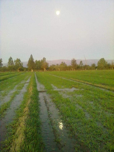 Imagen 11 de 14 de Campo En Venta De 24 Has. Con Casa.. Traslasierras