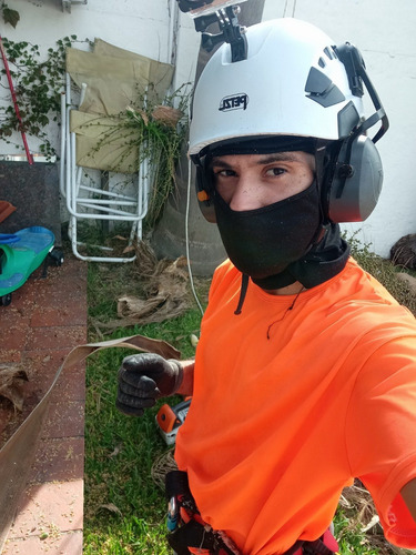 Imagen 8 de 10 de Poda De Arbol, Poda De Palmera,servicio De Poda, Zona Oeste